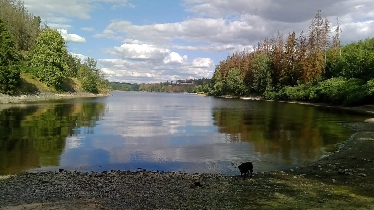 Fichtelgebirge, Frankenwald, Böhmerwald, Schiefergebirge...

... mittendrin, Urlaubsregion. Im Moment unsere derzeitige Station.

Ein Traum, man muss das Glück erst wirklich begreifen...