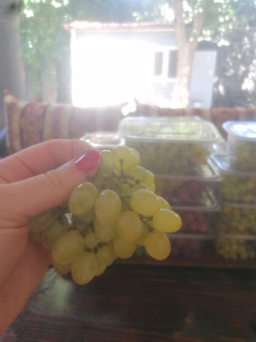 Surp Asdvadzadzin'e hazırlık devam ediyor :)