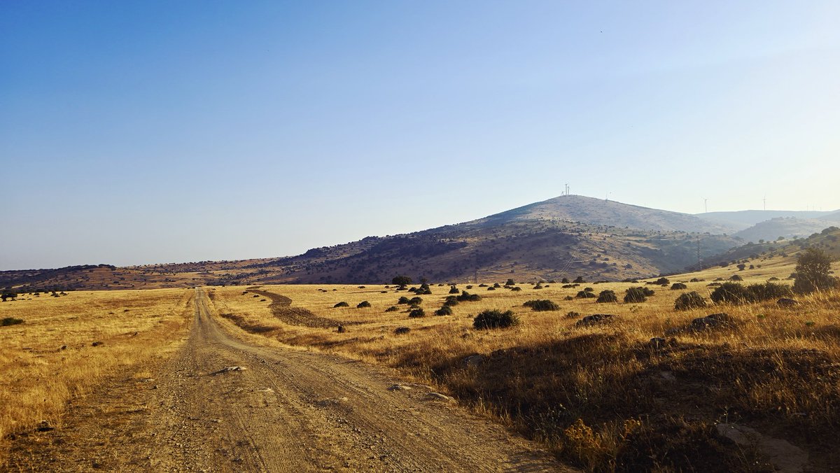 Los incendios en Castilla y León se producen por varios motivos,el principal es la falta de inversión de la JCYL, por más que el Sr. Mañueco trate de engañarnos.Se va a ir usted con su Comunidad calcinada,todo un logro para la historia,Mañueco I el calcinador.<a href="/elonmusk/">Elon Musk</a>