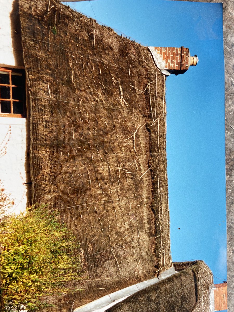 masterthatcher2's tweet image. Just came across these 2 photos which illustrate well how not removing previous layers of thatch can lead to a great &amp;amp; unnecessary thickness especially at the ridge.In this case 1.75metres! Also shows how close the ridge line was to the top of this chimney!