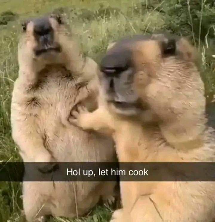 Luffy 😗 tweet media