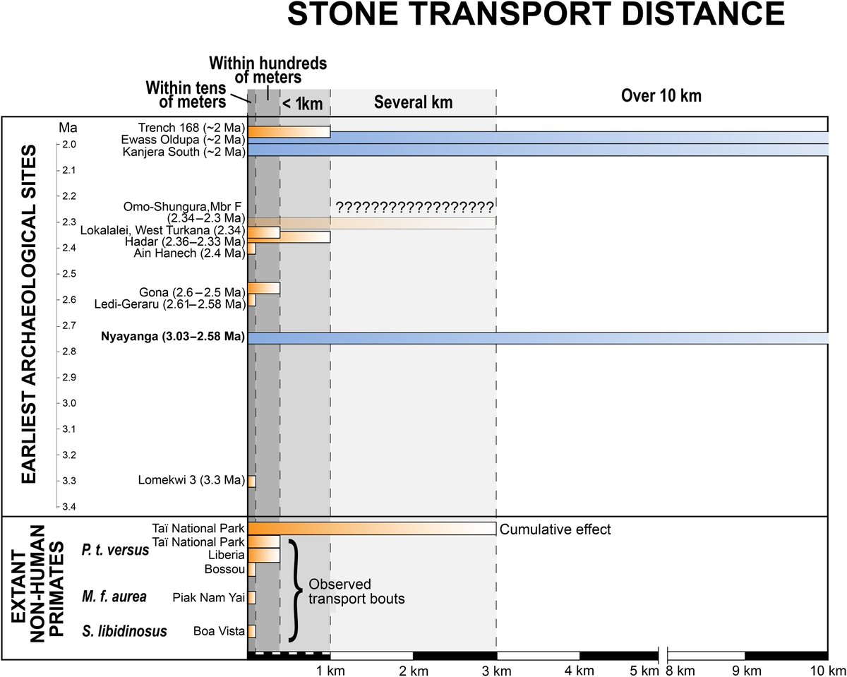 robertosaezm's tweet photo. Los homininos de Nyayanga (Kenia) fabricaron herramientas olduvayenses hace 2,6 Ma principalmente a partir de materia prima no local transportada hasta 13 km:
Selective use of distant stone resources by the earliest Oldowan toolmakers https://t.co/d4O712lP8j https://t.co/bxzJ2O4QTN