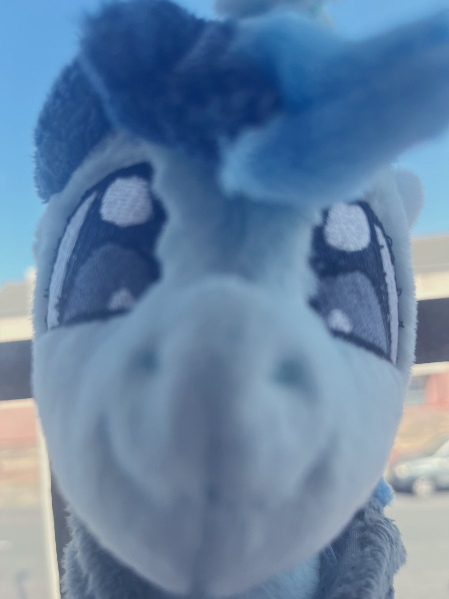 I just want to publicly thank <a href="/_kezumi_/">🌟PercyPawz🌟</a>!💙

I recommended <a href="/scrimmypone/">Scrimmy 🦇🏳️‍🌈 ➡️ Not at BABSCon 2025 😭</a> get a plush from her as she’s a wonderful plush maker and she sent me this fef plush included as a gift!?!

This surprise came during one of my worst depressive episodes to date and I’m so greatful, I love him