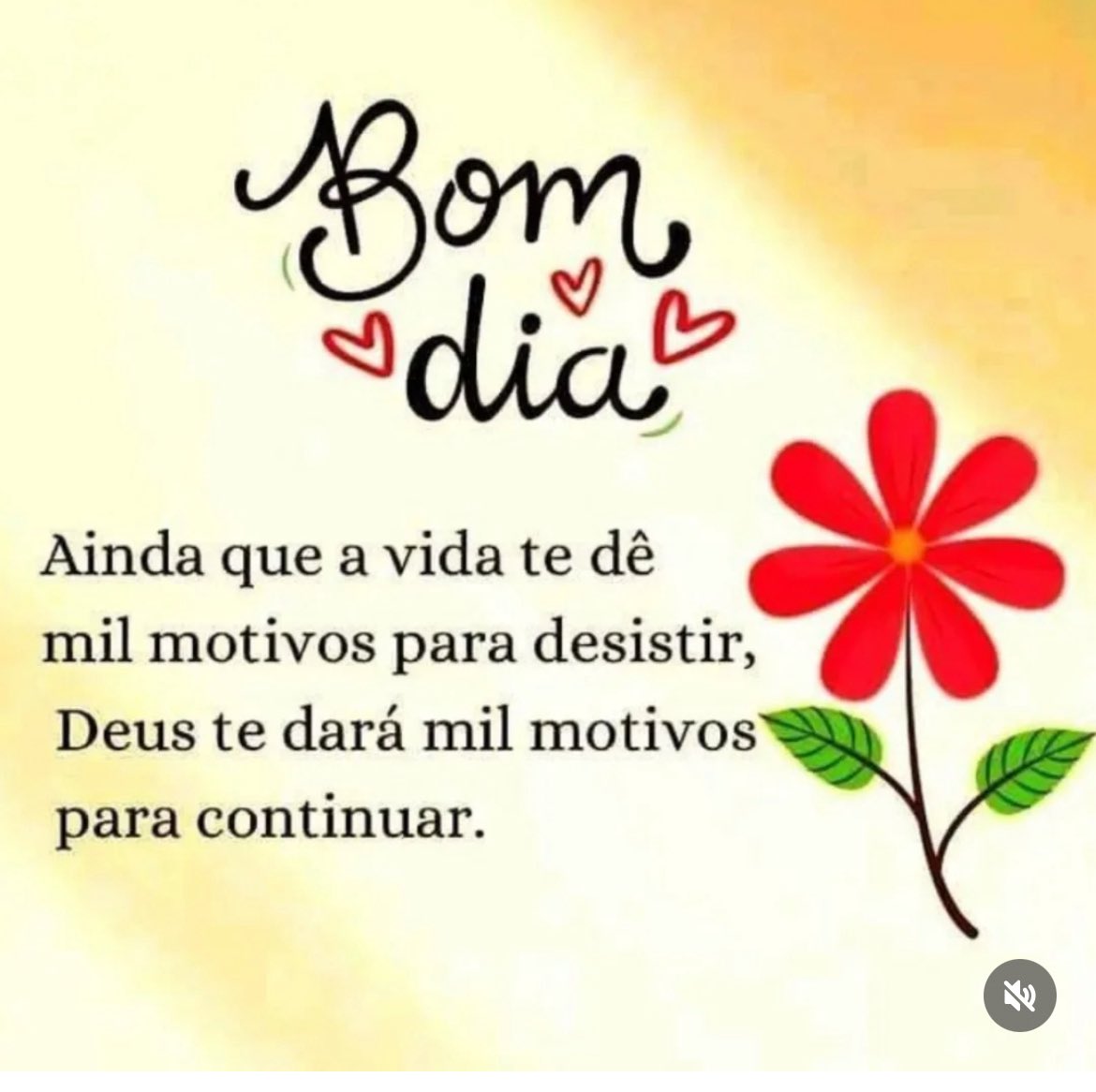 Bom dia meus amores 🙏🙏🥰🥰❤️❤️🌺🌺🌹🌹🌸🌸💕💕🌸🌸🥰🥰🌺🌺