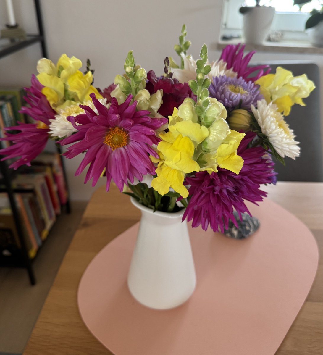 Ich war auf dem Blumenfeld 😍