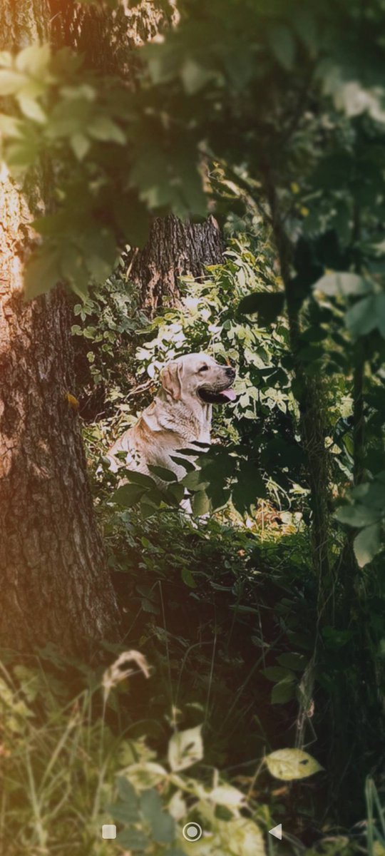 Adam Gonera (@adamgonera) on Twitter photo 