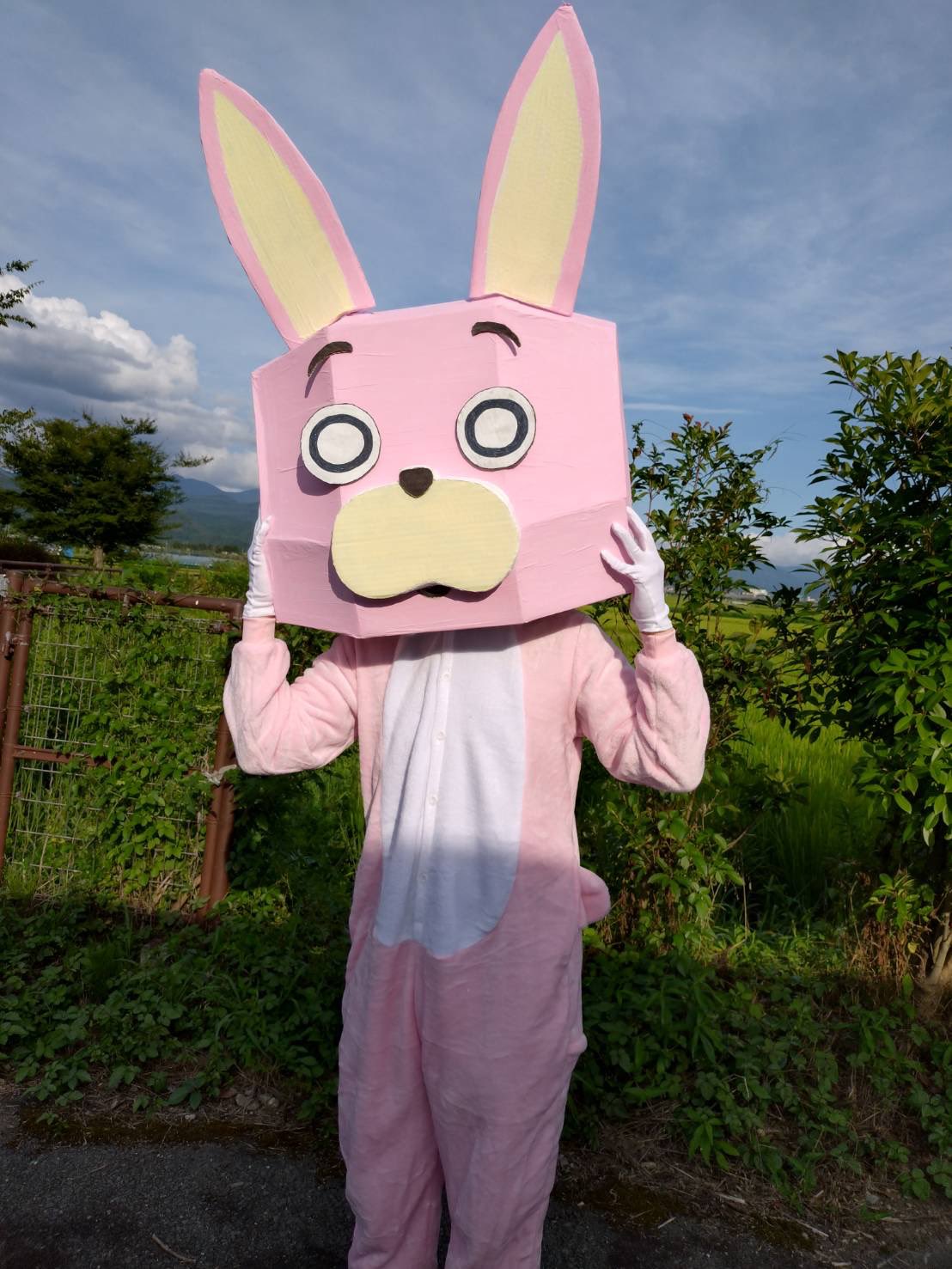 桃色ウサヒ やさた on X: \"最近、桃色ウサヒにハマりすぎて作ってしまった。 本人