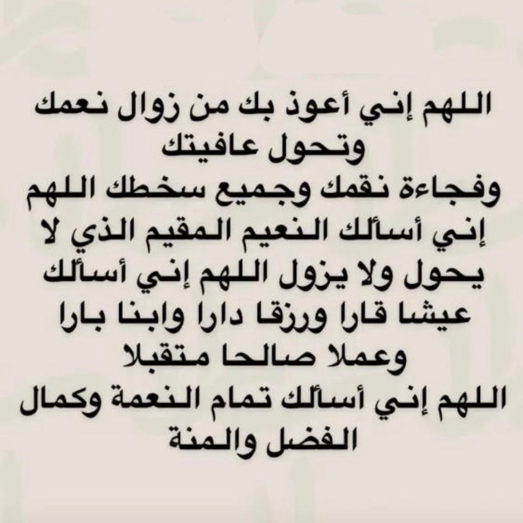 hmst_7ob's tweet photo. https://t.co/ZMGwcqWiht