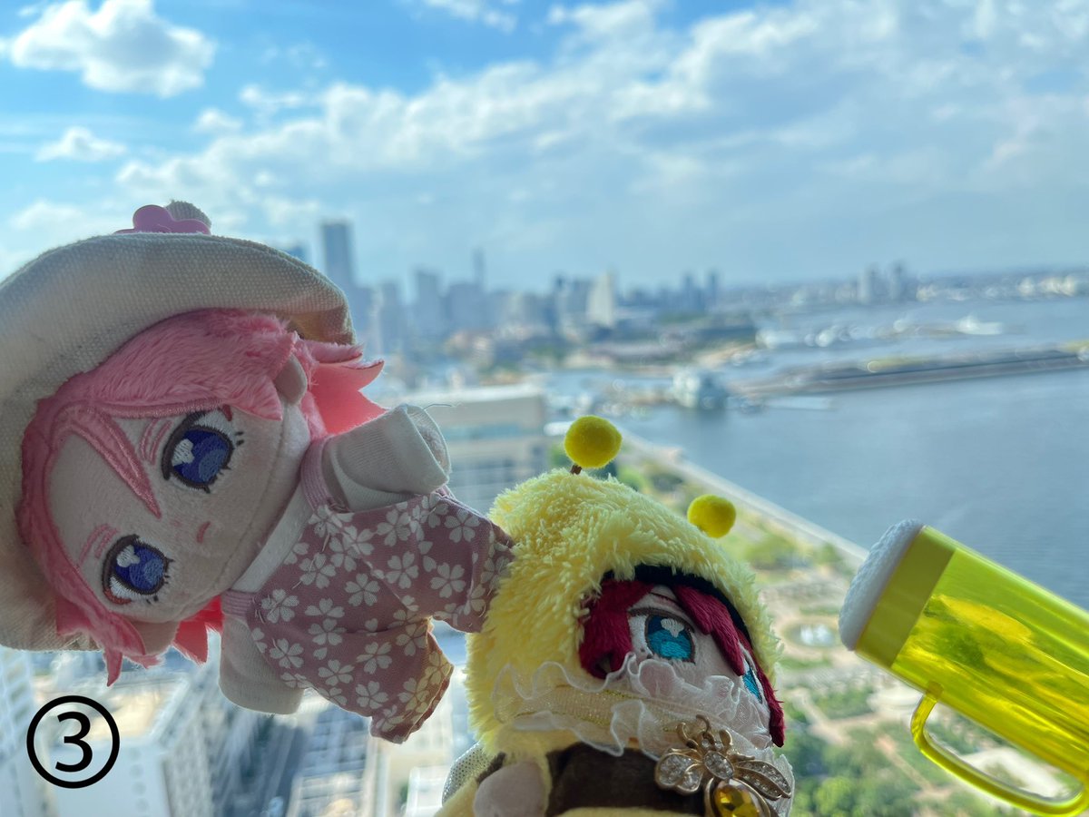こはちゃん最強☆
(ぬいコマ写真)
