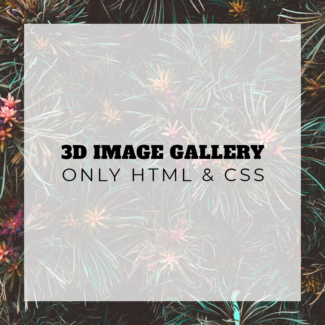 3D Image Gallery

Video: youtu.be/oLFAF2IAyLE

#html #HTML5 #CSS #CSS3 #webdevelopment #webdevelopers #Coding #FrontEndLove #webdesign #codenewbies #cssanimation #3dgallery #imagegallery #slider