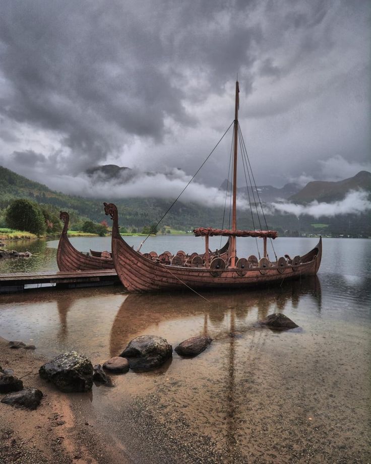 Viking History tweet media