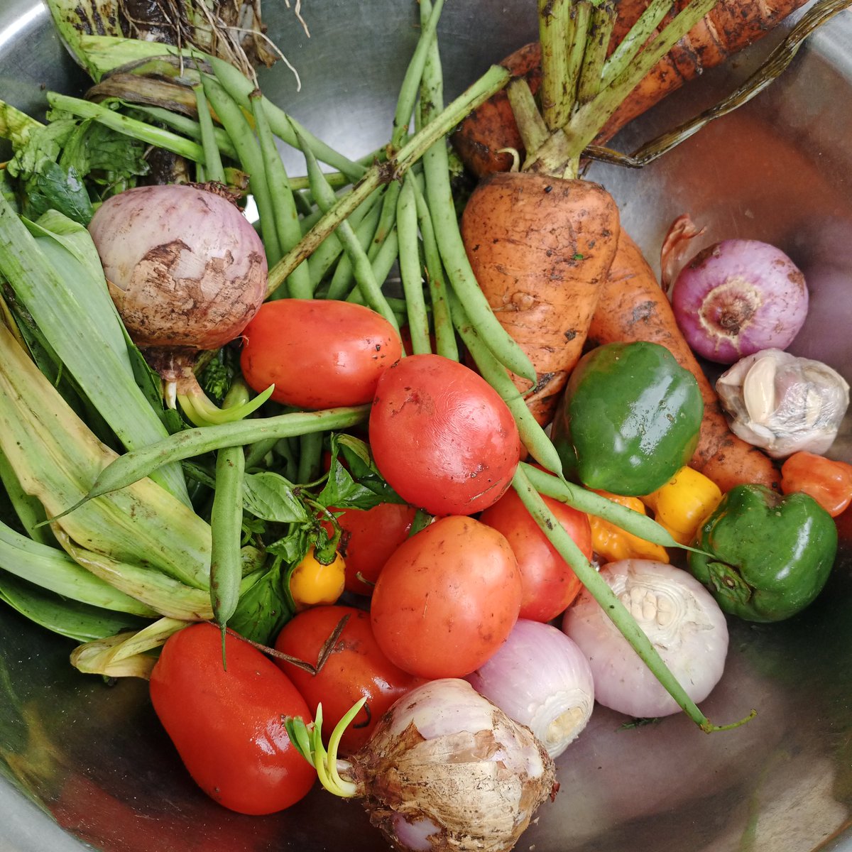 Dépôt de kolo à la personne qui trouve exactement ce que je cuisine aujourd'hui 😜 👇🏾