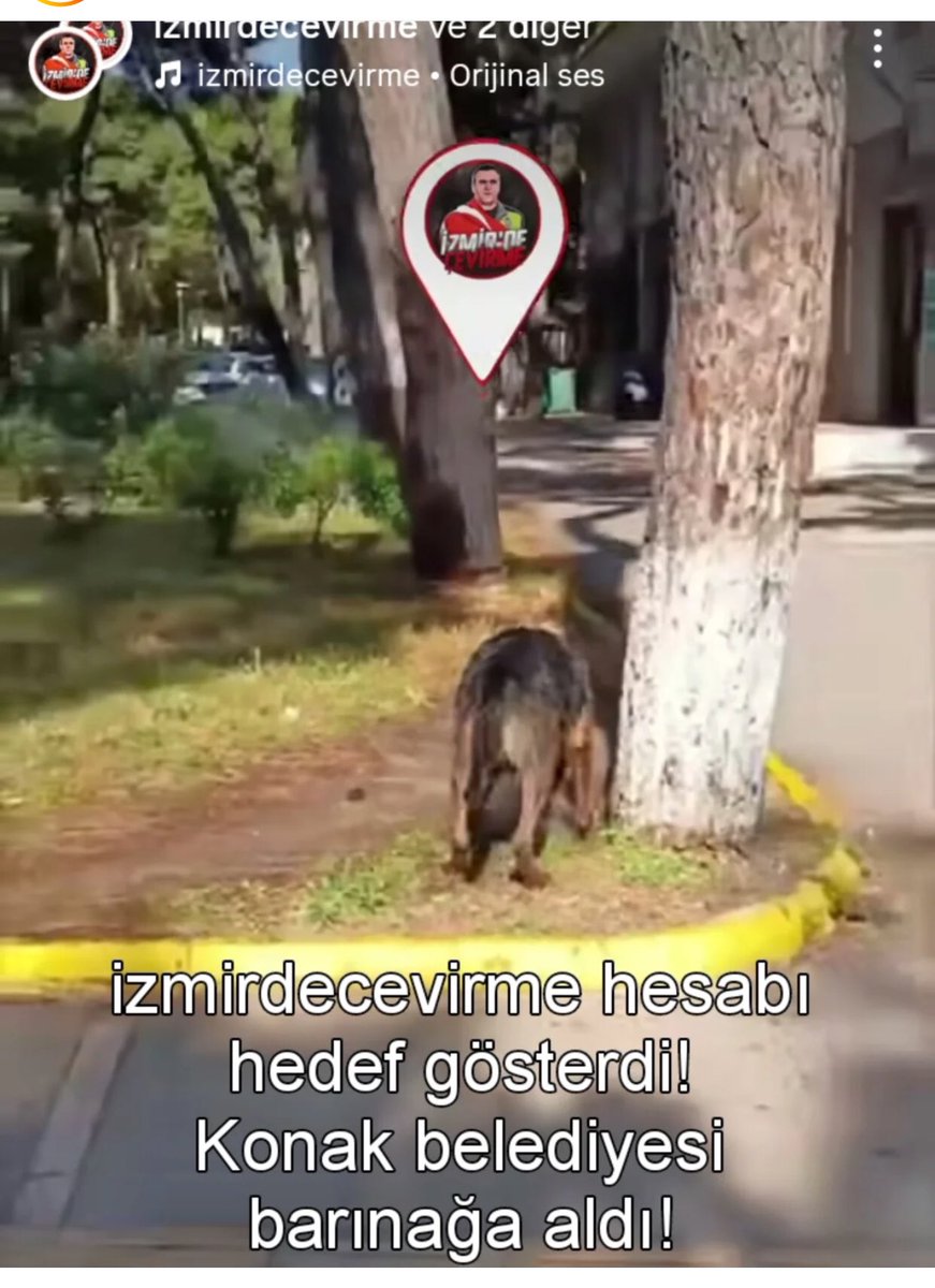 Serap Ulusoy 🦋 (@srpulsy) on Twitter photo Sosyal medyada etkileşim için şehir içindeki köpek videoları paylaşan hesaplar!
Hayvan düşmanı değilseniz, yapmayın!
<a href="/izmirdecevirme/">Izmir Çevirme Radar</a>
<a href="/izmirgibiyiz/">izmirgibiyiz 🇹🇷</a>
<a href="/izmirinnabzii/">İZMİR’İN NABZI</a> Sosyal medyada etkileşim için şehir içindeki köpek videoları paylaşan hesaplar!
Hayvan düşmanı değilseniz, yapmayın!
<a href="/izmirdecevirme/">Izmir Çevirme Radar</a>
<a href="/izmirgibiyiz/">izmirgibiyiz 🇹🇷</a>
<a href="/izmirinnabzii/">İZMİR’İN NABZI</a>