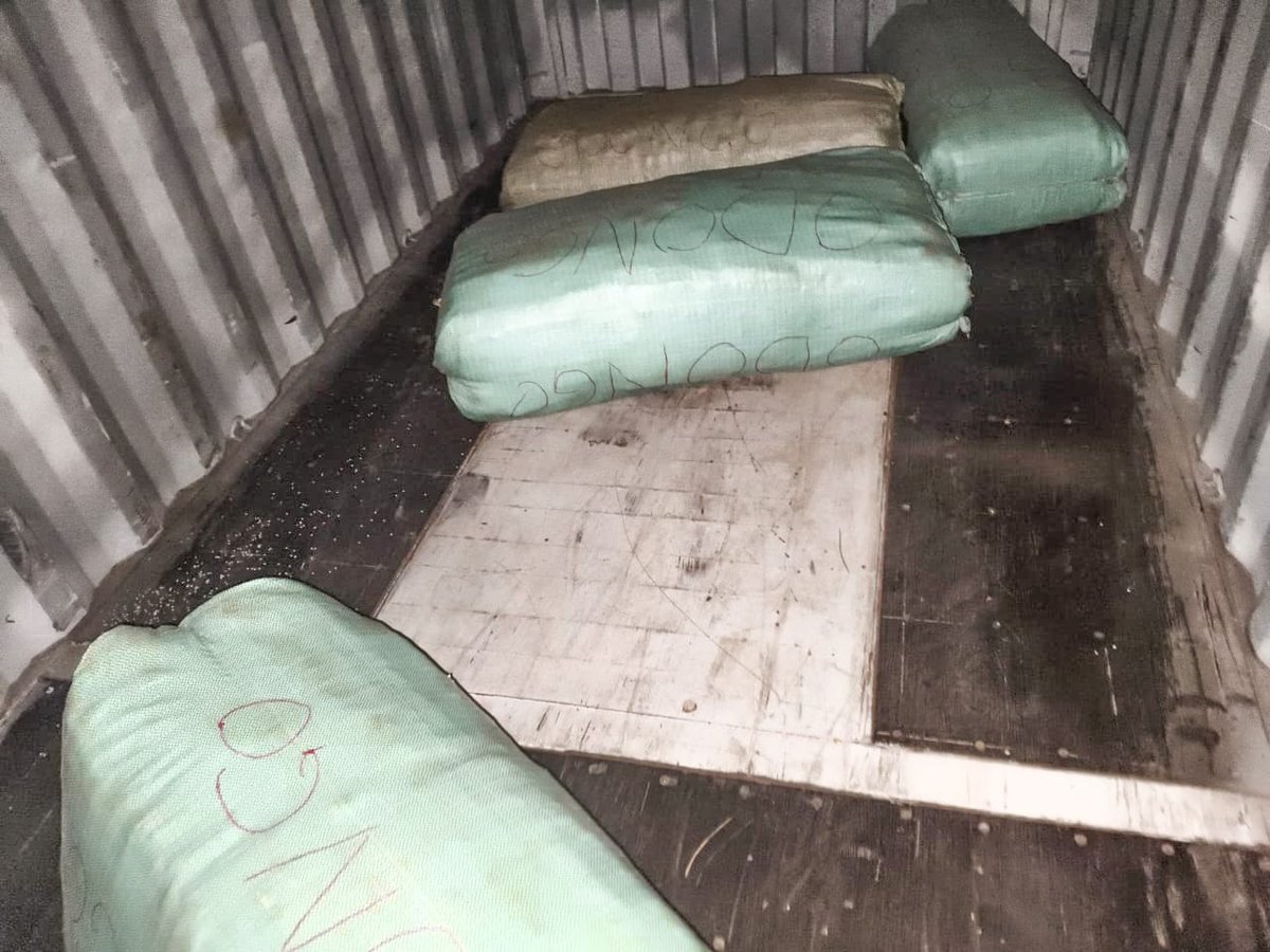 TRUCK DRIVER ARRESTED IN MARIAKANI FOR TRAFFICKING CANNABIS SATIVA

On 16th August 2025, while acting on an intelligence report, officers from the National Police Service in Mariakani intercepted a trailer along the Mariakani-Mazeras Road. Upon a thorough search, they recovered