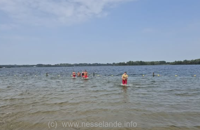 Nieuwe strandwachten strand Nesselande geslaagd!  rotterdam-nesselande.nl/nieuws/zuidpla…