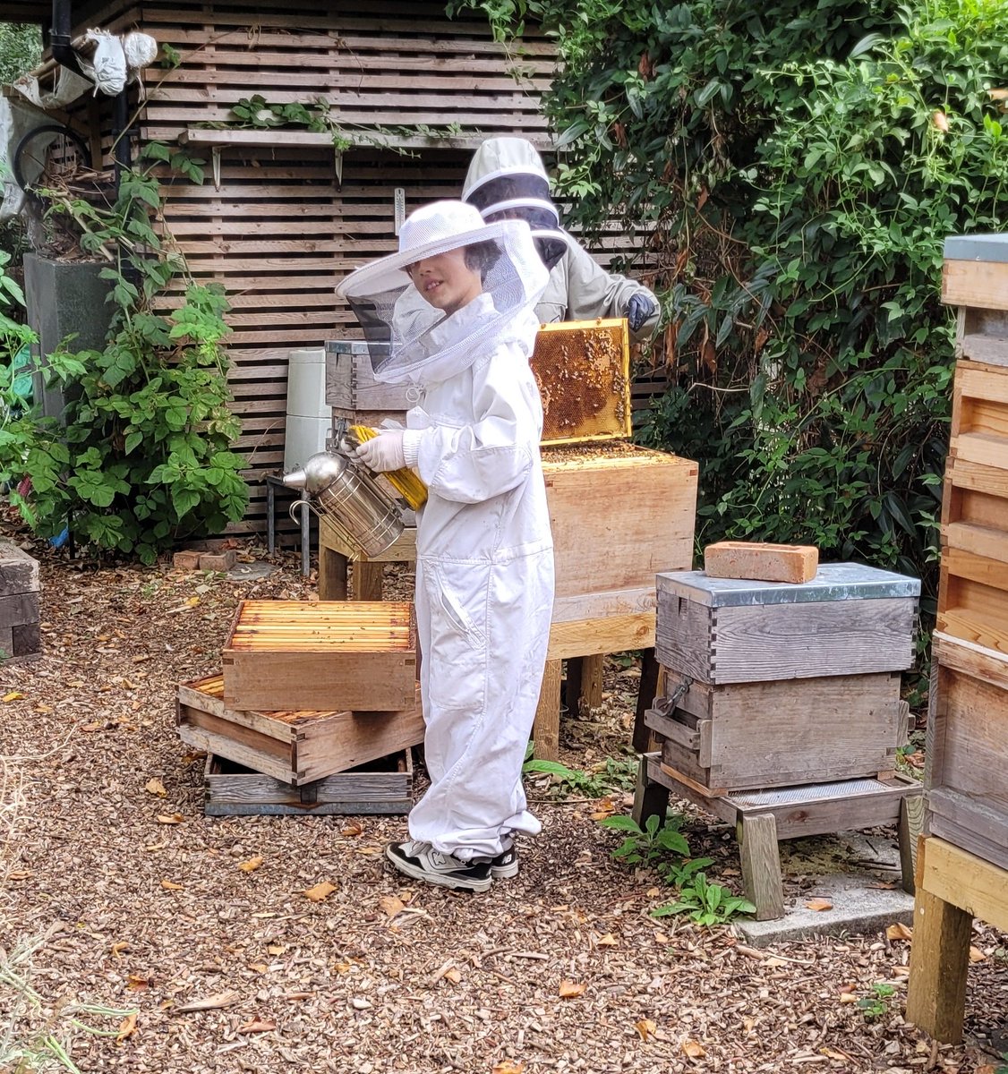 Our young Bee-keeper joining us this afternoon on our hive inspection.