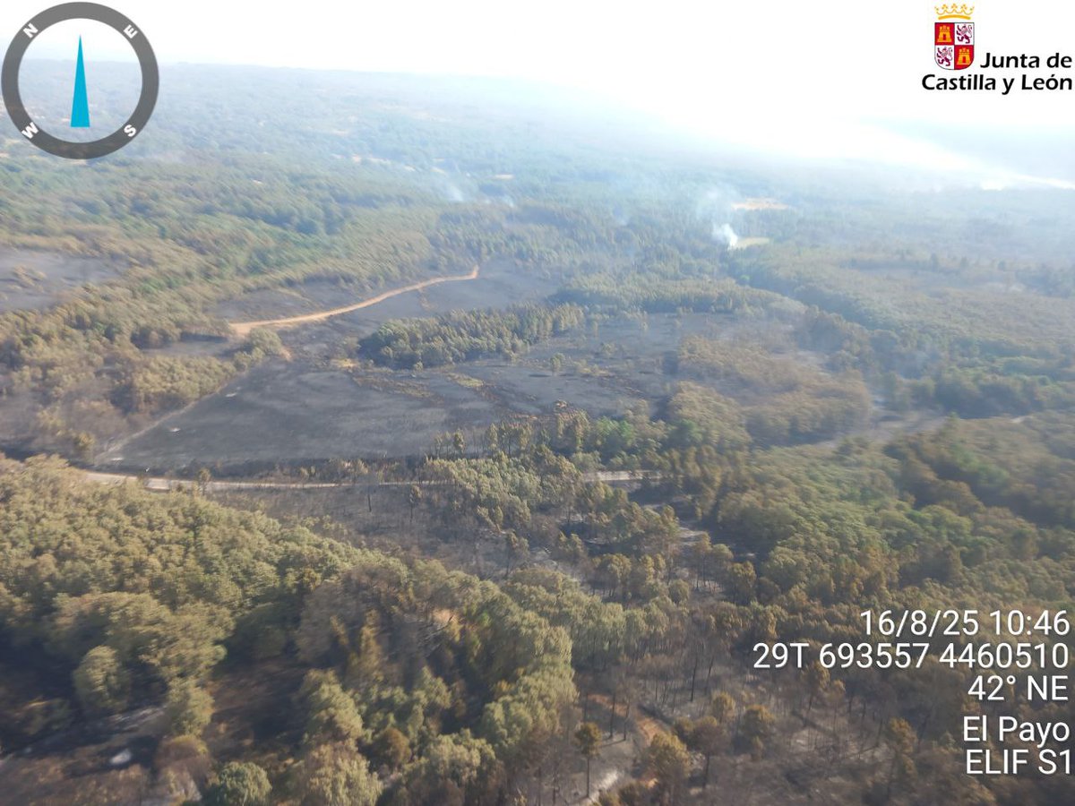 Naturaleza Castilla y León tweet media