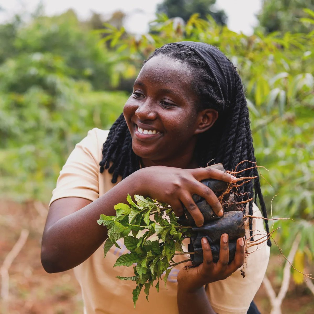 Nakyobe Daisy (@daisynakyobe) on Twitter photo Honored to join <a href="/Leahinitiative0/">L.E.A.H initiative</a> yesterday in celebrating Leahβs 21st birthday by planting trees in entebbe.
Wishing you a very Happy Birthday, <a href="/Leahinitiative/">Leah Namugerwa</a> may your new year be as bright and impactful as the seeds of change we planted together.
πΈ photo by <a href="/AliDidaat/">AHMED DIDAATI πΊπ¬</a> Honored to join <a href="/Leahinitiative0/">L.E.A.H initiative</a> yesterday in celebrating Leahβs 21st birthday by planting trees in entebbe.
Wishing you a very Happy Birthday, <a href="/Leahinitiative/">Leah Namugerwa</a> may your new year be as bright and impactful as the seeds of change we planted together.
πΈ photo by <a href="/AliDidaat/">AHMED DIDAATI πΊπ¬</a>