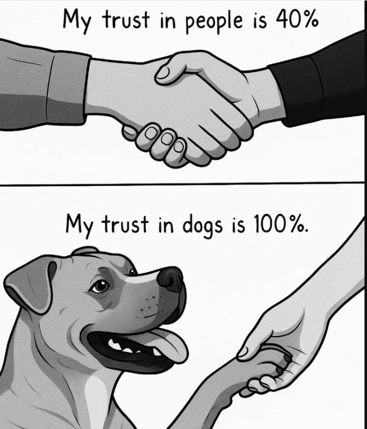 Tweets of Dogs (@tweeetsofdogs) on Twitter photo 