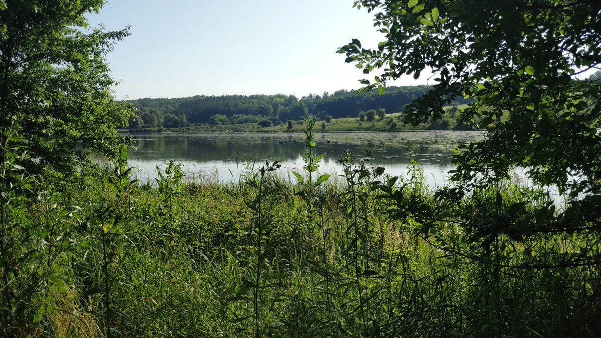 Teskraal-Zruminij tweet media