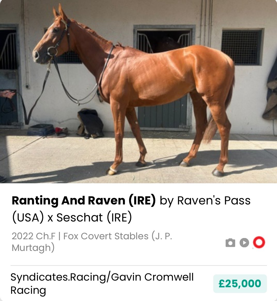 John Bourke tweet media