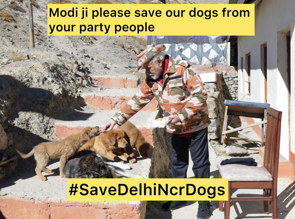 skp3009's tweet photo. #doglovers #savedelhincrdogs https://t.co/YYf7xU9TTE
