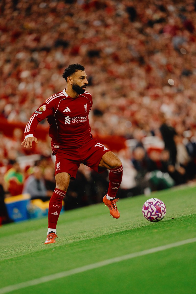 Steven Halliwell (@stehalliwell_) on Twitter photo 