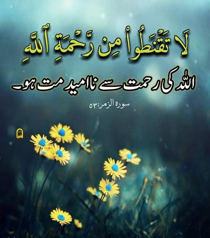 ꧁arsia🕊️ (@ars1a_) on Twitter photo #ملک_پرموشن
ProMo✴️
<a href="/01Mllik/">𝙈𝘼𝙇𝙄𝙆 𝙅𝙄💫💙</a> <a href="/1arshd/">𝗔𝗿𝘀𝗵𝗱 𝗠𝗹𝗶𝗸💫👑</a>
<a href="/01rshd/">ارشـــد مــلــک❤️</a> <a href="/1Arshii/">𝓐𝓻𝓼𝓱𝓲𝓪 🌸💫</a>
<a href="/0Sehrr/">سحر ملک 🕊️🦋</a> <a href="/sehr_ik/">سحر ملک 🦋🦋</a>
<a href="/0Mahiii/">khan Ki Khilariii 🏏</a>
<a href="/0Hyyat/">حیات فاطمہ ✨</a>
<a href="/_NM40/">Nabeel Zaffar</a>
<a href="/111mn1/">🐬آمنہ ملک🦋</a>
<a href="/1Sehar_/">𝐒ҽԋαʀ 👑</a>
<a href="/glmsjd/">𝑺𝒂𝒋𝒋𝒂𝒅 ✨</a>
<a href="/shz787/">🌟⭐️🌟🌟sʜᴀʜᴢᴀᴅ ᴍᴜɴɪʀ🌟⭐️🌟⭐️</a>
<a href="/1shobii/">Shoaib 🇵🇰</a>
<a href="/ZK__35/">ZK</a>
<a href="/NK_pti/">𝒜𝓏𝒶𝒹 ⚑</a>
<a href="/shZ447/">🌻🌻🌻𝕊𝕙𝕒𝕙𝕫𝕒𝕕 𝕄𝕦𝕟𝕚𝕣🌻🌻🌻</a>
<a href="/Punj143/">𝓙𝓾𝓽𝓽 💕 🇵🇰</a>
<a href="/Hurain_5/">Hurain 💞حورین</a>
<a href="/Z1HAKM/">𝒁𝓮𝓮𝓷𝓲𝔂𝓪 ⒽⒶⓀⒾⓂ</a>
<a href="/ait9t/">꧁Farah🕊️ᴾᵃᵏᴾᵒʷᵉʳ</a> <a href="/1fzalI/">💓PTI ACCOUNTS PROMORTER💓</a>
<a href="/_zb_0/">زینبــــ </a> <a href="/1fazl2/">فضـ𝓪𝓴𝓫𝓪𝓻ـل</a>
<a href="/_1rhe/">شازیہ</a> <a href="/Ghz35/">🇬 🇭 🇦 🇿 🇦 🇱 🇦 🇭</a>
<a href="/guljnt/">گُل جنت🌷</a> <a href="/11iasd/">Ali Asad</a>
<a href="/ze_kh1/">زینیـــہ خان❤</a> <a href="/Pir_80/">Pir Shb</a>
<a href="/_S_m_4/">𝓢𝓪𝓭𝓲𝓪 𝓜𝓪𝓵𝓲𝓴</a> <a href="/jst_4rU/">ßιℓαℓ 🎭</a> #ملک_پرموشن
ProMo✴️
<a href="/01Mllik/">𝙈𝘼𝙇𝙄𝙆 𝙅𝙄💫💙</a> <a href="/1arshd/">𝗔𝗿𝘀𝗵𝗱 𝗠𝗹𝗶𝗸💫👑</a>
<a href="/01rshd/">ارشـــد مــلــک❤️</a> <a href="/1Arshii/">𝓐𝓻𝓼𝓱𝓲𝓪 🌸💫</a>
<a href="/0Sehrr/">سحر ملک 🕊️🦋</a> <a href="/sehr_ik/">سحر ملک 🦋🦋</a>
<a href="/0Mahiii/">khan Ki Khilariii 🏏</a>
<a href="/0Hyyat/">حیات فاطمہ ✨</a>
<a href="/_NM40/">Nabeel Zaffar</a>
<a href="/111mn1/">🐬آمنہ ملک🦋</a>
<a href="/1Sehar_/">𝐒ҽԋαʀ 👑</a>
<a href="/glmsjd/">𝑺𝒂𝒋𝒋𝒂𝒅 ✨</a>
<a href="/shz787/">🌟⭐️🌟🌟sʜᴀʜᴢᴀᴅ ᴍᴜɴɪʀ🌟⭐️🌟⭐️</a>
<a href="/1shobii/">Shoaib 🇵🇰</a>
<a href="/ZK__35/">ZK</a>
<a href="/NK_pti/">𝒜𝓏𝒶𝒹 ⚑</a>
<a href="/shZ447/">🌻🌻🌻𝕊𝕙𝕒𝕙𝕫𝕒𝕕 𝕄𝕦𝕟𝕚𝕣🌻🌻🌻</a>
<a href="/Punj143/">𝓙𝓾𝓽𝓽 💕 🇵🇰</a>
<a href="/Hurain_5/">Hurain 💞حورین</a>
<a href="/Z1HAKM/">𝒁𝓮𝓮𝓷𝓲𝔂𝓪 ⒽⒶⓀⒾⓂ</a>
<a href="/ait9t/">꧁Farah🕊️ᴾᵃᵏᴾᵒʷᵉʳ</a> <a href="/1fzalI/">💓PTI ACCOUNTS PROMORTER💓</a>
<a href="/_zb_0/">زینبــــ </a> <a href="/1fazl2/">فضـ𝓪𝓴𝓫𝓪𝓻ـل</a>
<a href="/_1rhe/">شازیہ</a> <a href="/Ghz35/">🇬 🇭 🇦 🇿 🇦 🇱 🇦 🇭</a>
<a href="/guljnt/">گُل جنت🌷</a> <a href="/11iasd/">Ali Asad</a>
<a href="/ze_kh1/">زینیـــہ خان❤</a> <a href="/Pir_80/">Pir Shb</a>
<a href="/_S_m_4/">𝓢𝓪𝓭𝓲𝓪 𝓜𝓪𝓵𝓲𝓴</a> <a href="/jst_4rU/">ßιℓαℓ 🎭</a>