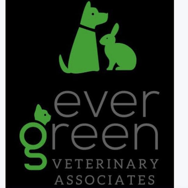 Thank you to Evergreen Vets who are ball sponsors for today’s 1XI game at home to Alderley Edge. 

evergreenvets.co.uk

The game started at 12pm and the bar is open so come up and support 🏏