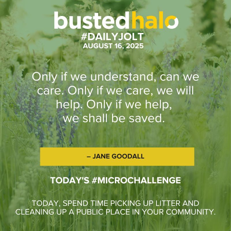 BustedHalo's tweet image. Today&apos;s #DailyJolt comes from #JaneGoodall.