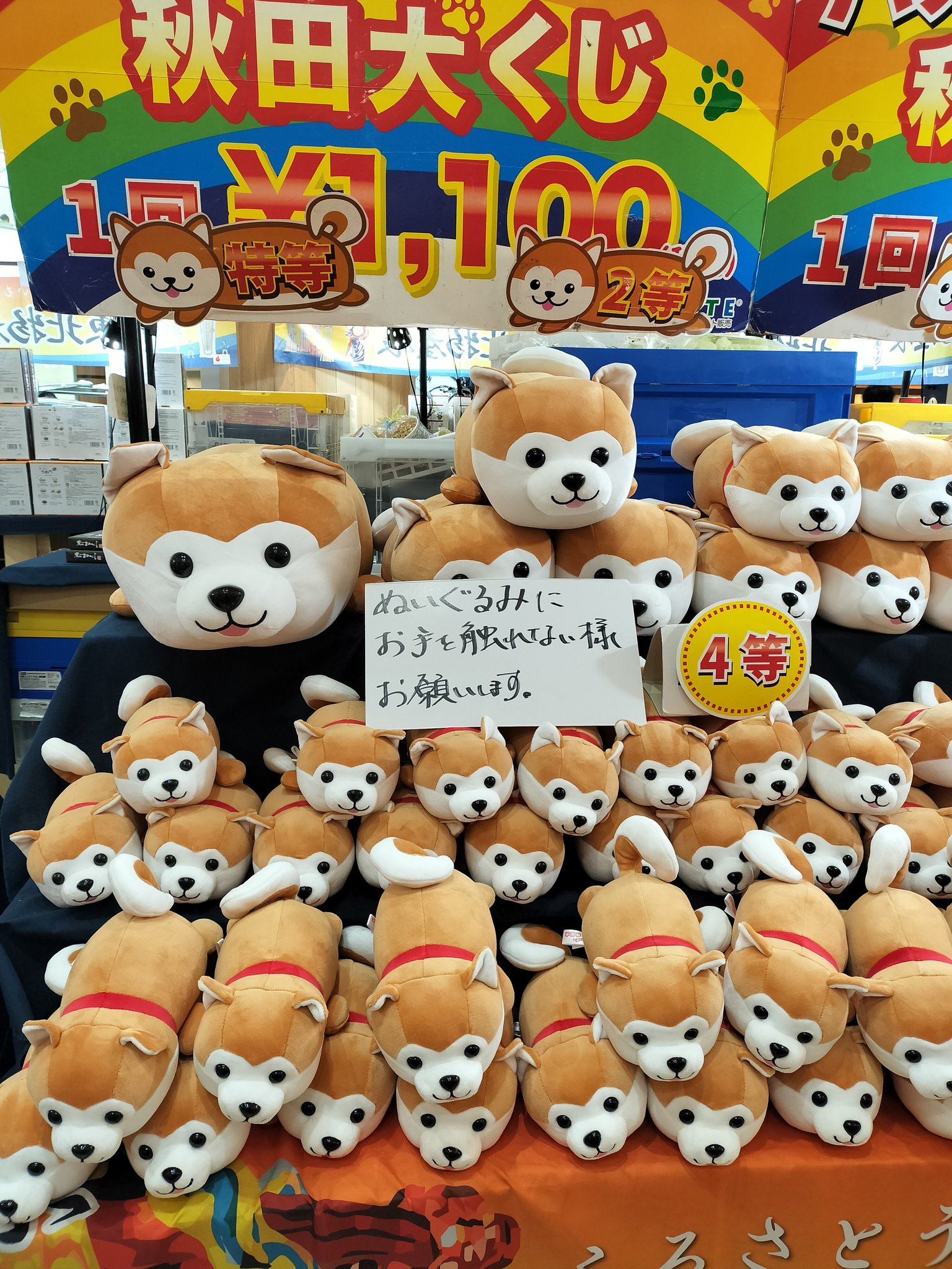 【希少】ハッピー秋田犬　ぬいぐるみくじ　特賞&4等 4 8/11 ハッピー秋田犬 くじ ぬいぐるみ セット売りのみの通販
