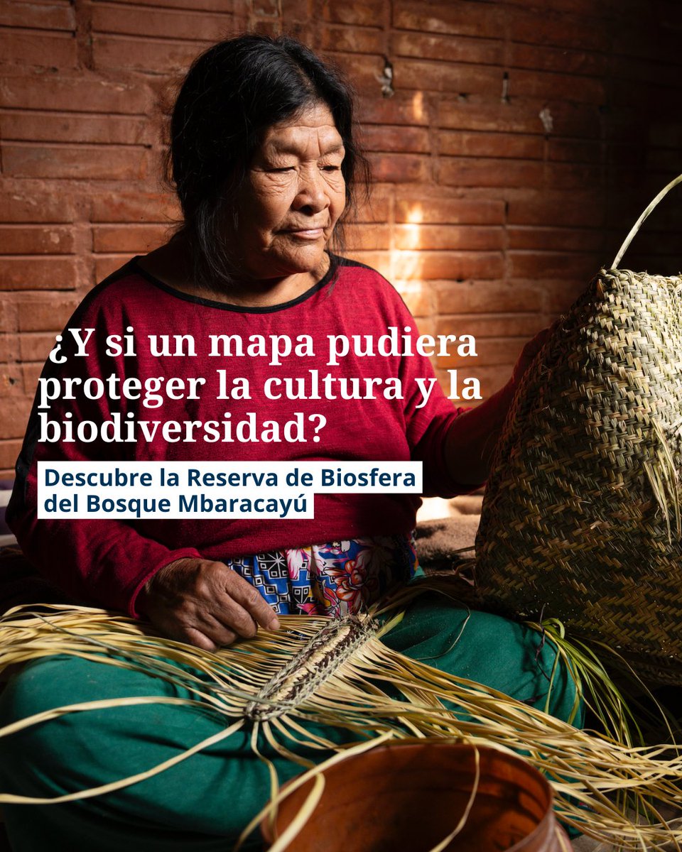 🇵🇾 En la Reserva de Biosfera del Bosque Mbaracayú (Paraguay), comunidades indígenas mapean más que su tierra: mapean su futuro.

🌿 Con conocimiento ancestral y tecnología, protegen la naturaleza y sus lugares sagrados.

unesco.org/es/articles/ma…
