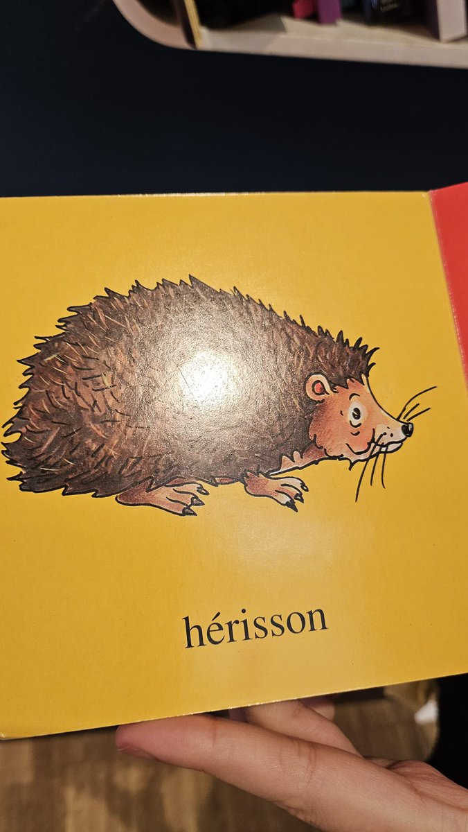 Erizo que tiene cara de ruquito jajaja