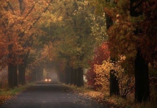 talya9646171863's tweet photo. 16 days till September  breeze 🍁 https://t.co/dCKSIwbFx9