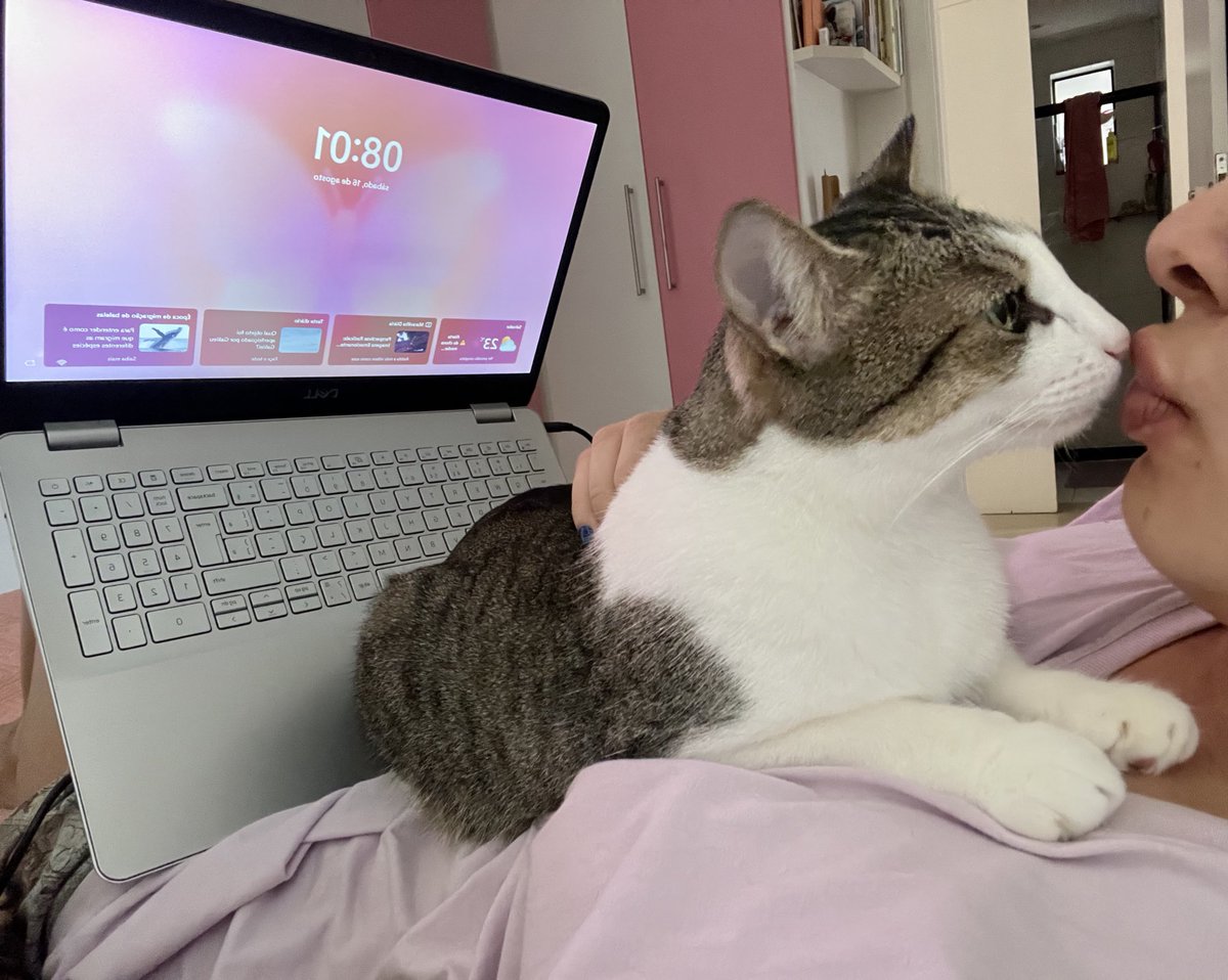mimizuxa💋 tweet media