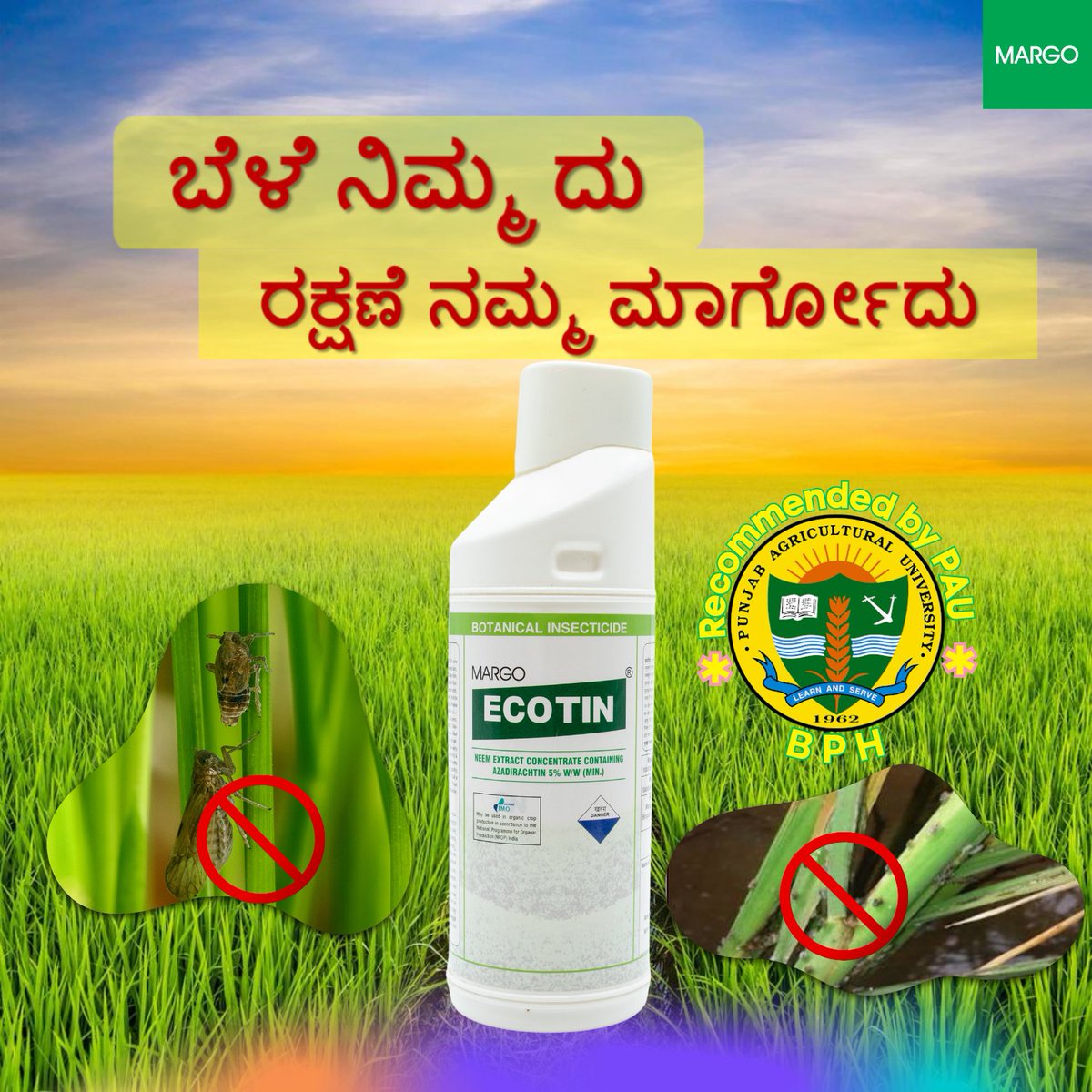 PJMARGOBIO's tweet photo. #BrownPlantHopper of #Paddy can be managed by #ECOTIN , a #Azadirachtin based #BotanicalInsecticide at the pest initiation stage as per the recommendation of #PAU Ludhiana and #CIBRC

#BPH #Borer #CIBRC #PunjabAgriculturalUniversity
#MargoBiocontrols #PJMargo #MARGO https://t.co/iYar6lsypx