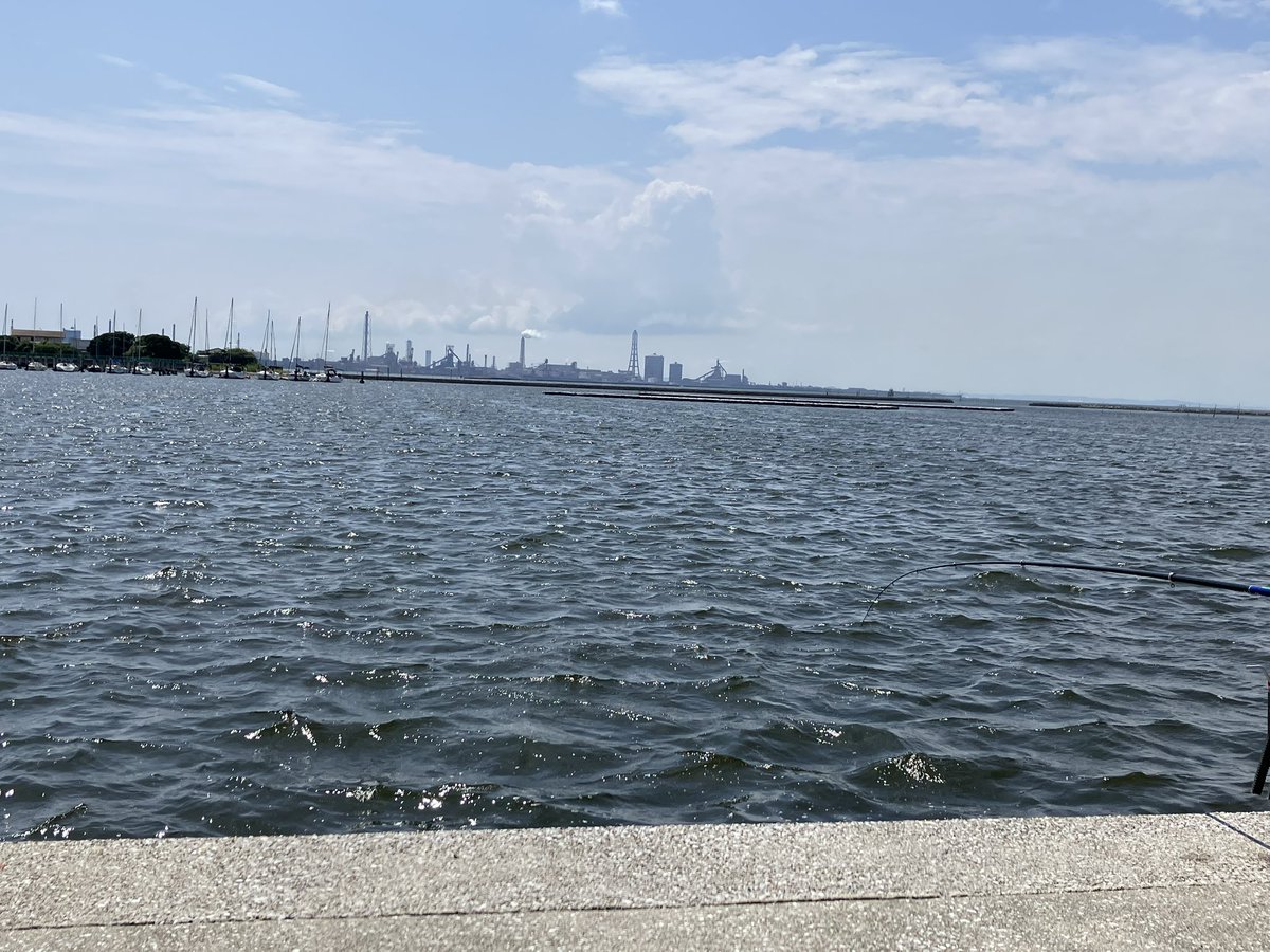 141chan1's tweet photo. 内房
12:30〜18:30

サッパ　1匹
チビカマス　1匹

アジ調査に来ましたが、ちと早かったようです… https://t.co/xlXpI8XXbr