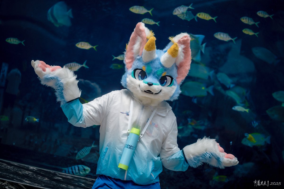 Lou_Aquatic's tweet photo. 好久没发毛五了
我能有什么办法呢～
#FursuitFriday https://t.co/I4c4swt9v8