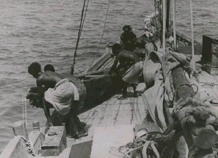 የአፋር መርከበኞች በቀይ ባህር 1910-1929

Afar sailors in the Red Sea 1910-1929