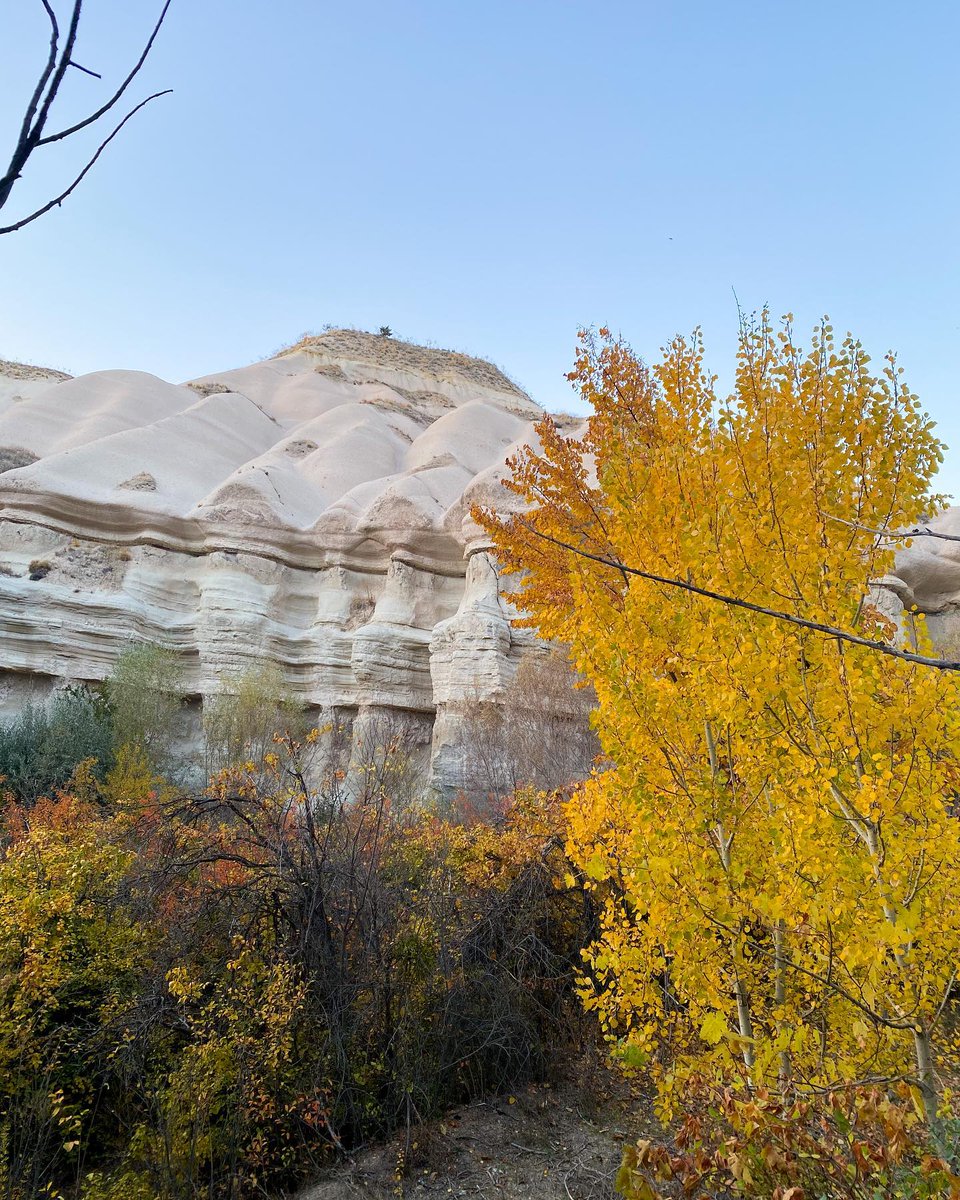 Isabellovelife_'s tweet image. Autumn beauty stuns me🍂 Mounds like earth’s folds, yellow leaves turn scenes fairytale. Every snap is #HealingLandscape — soul - nourishing magic.
