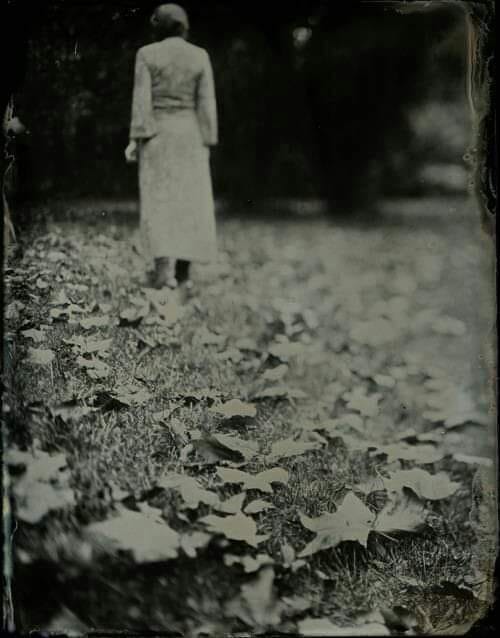 “Tienes que aprender a levantarte de la mesa cuando ya no se sirve amor".
Nina Simone
📷Isa Marcelli