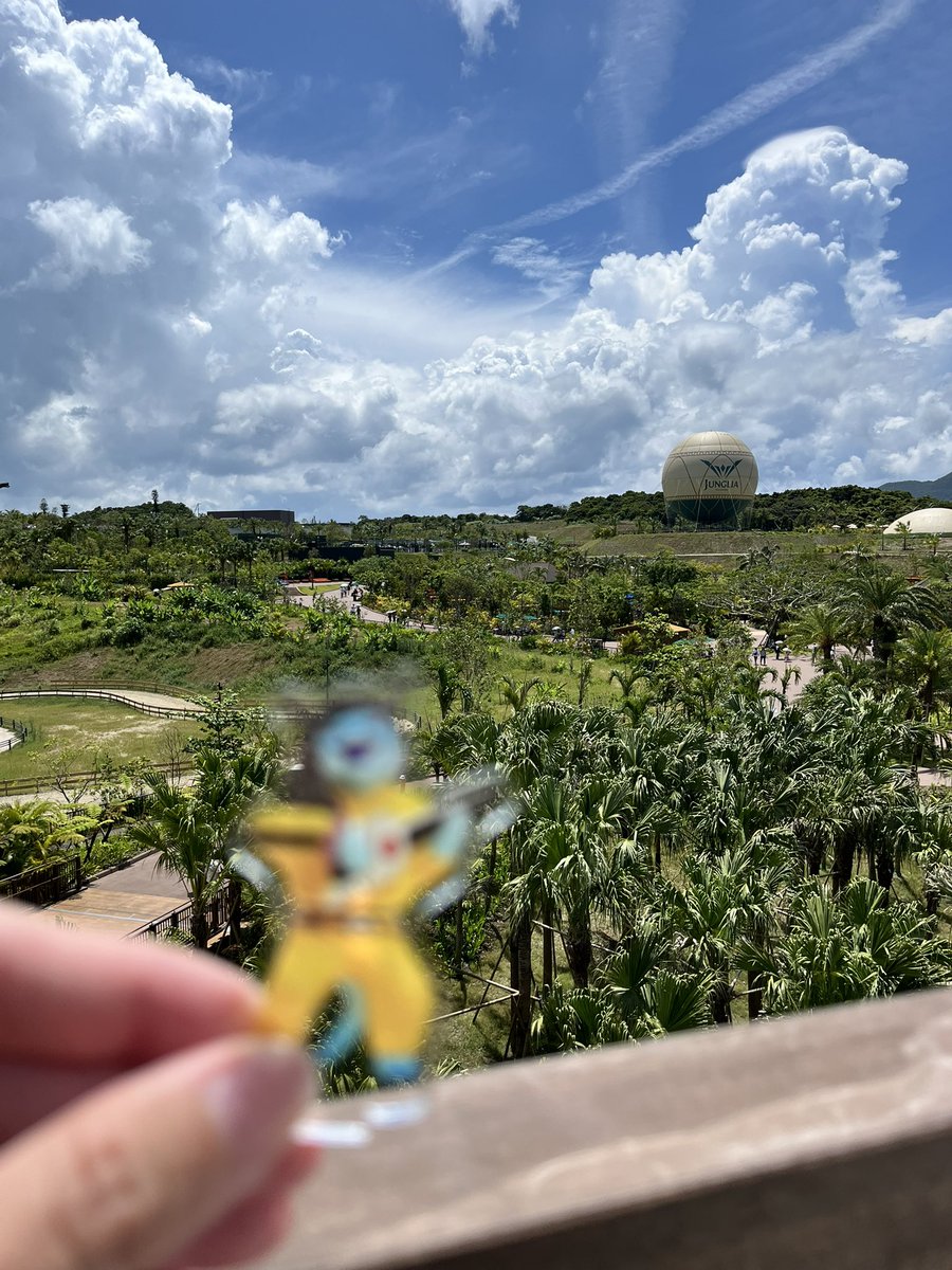 気球は飛んでいなかった🌳