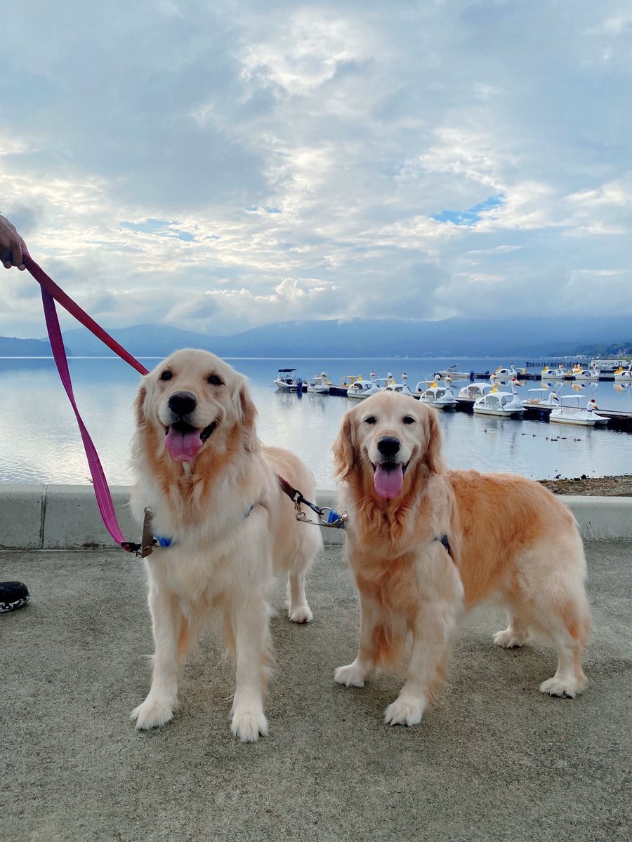 早朝の山中湖は長袖でちょうどいいね！
車で1時間で行けるの最高すぎるぅ！