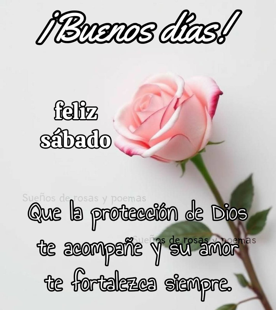 ๐ฉท ๐๐ โ๐ร๐ง๐ผ๐ซ ๐ฉท (@gabyalechavez) on Twitter photo Buenos, bonitos y gorditos, desveladosos, agradecidosos, frescosos, cafesosos, Izcayenosos, hambrientosos, dolorosos, ajetreadosos, nostรกlgicosos pero tranquilosos y guapetosos dรญas, feliz sรกbadoโผ๏ธ๐๐ป๐ผ๐ผ๐ซถ๐ป๐โ๏ธ๐ธโโฝ๐โบ๐
๐๐๐๐โพ๏ธ๐งฟ๐ฟ๐๐ป๐ฐ๐ฅ๐ค๐๐โค๐๐๐๐๐ค๐ฉถ๐ฉต๐ค๐ฉทโค๏ธโ๐ฅ๐๐๐ฅฐ๐ซ Buenos, bonitos y gorditos, desveladosos, agradecidosos, frescosos, cafesosos, Izcayenosos, hambrientosos, dolorosos, ajetreadosos, nostรกlgicosos pero tranquilosos y guapetosos dรญas, feliz sรกbadoโผ๏ธ๐๐ป๐ผ๐ผ๐ซถ๐ป๐โ๏ธ๐ธโโฝ๐โบ๐
๐๐๐๐โพ๏ธ๐งฟ๐ฟ๐๐ป๐ฐ๐ฅ๐ค๐๐โค๐๐๐๐๐ค๐ฉถ๐ฉต๐ค๐ฉทโค๏ธโ๐ฅ๐๐๐ฅฐ๐ซ
