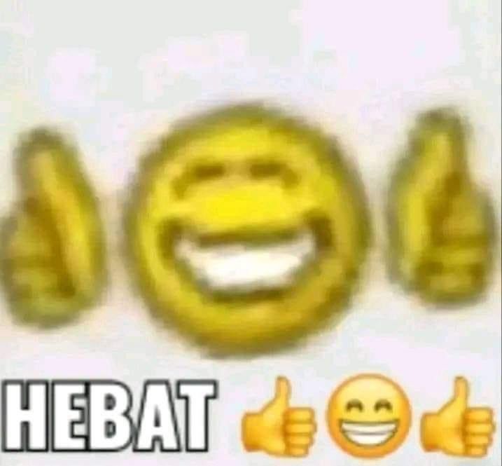 halodoroka tweet media