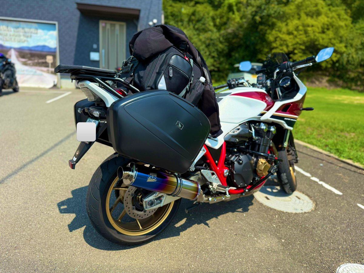 さとっこ Adidas Gucci 721936 TORSION ZX8000 low-cut sneakers, pink