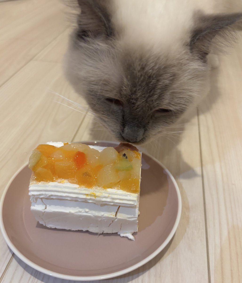 らむたんお誕生日〜♡♡1歳になった👶🏻ྀི