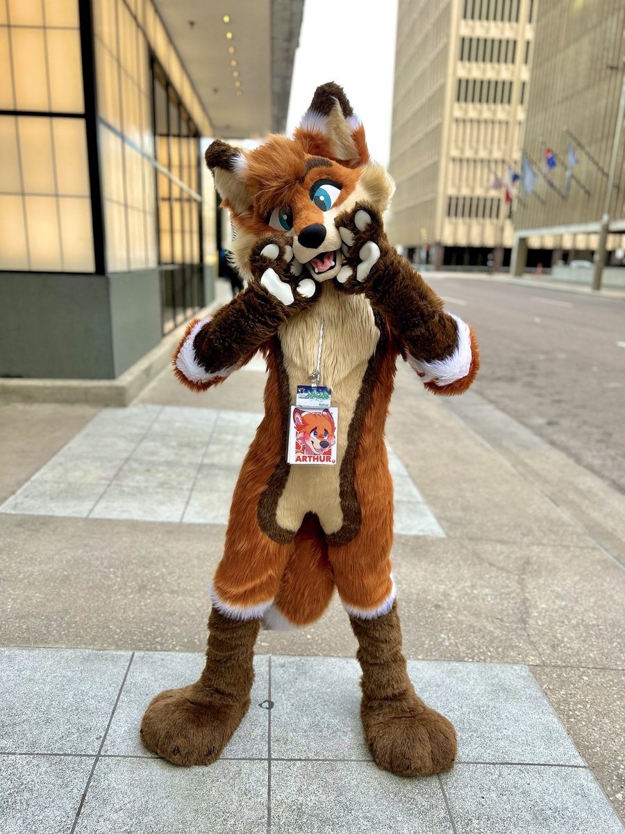 🦊Arthur🦊 tweet media
