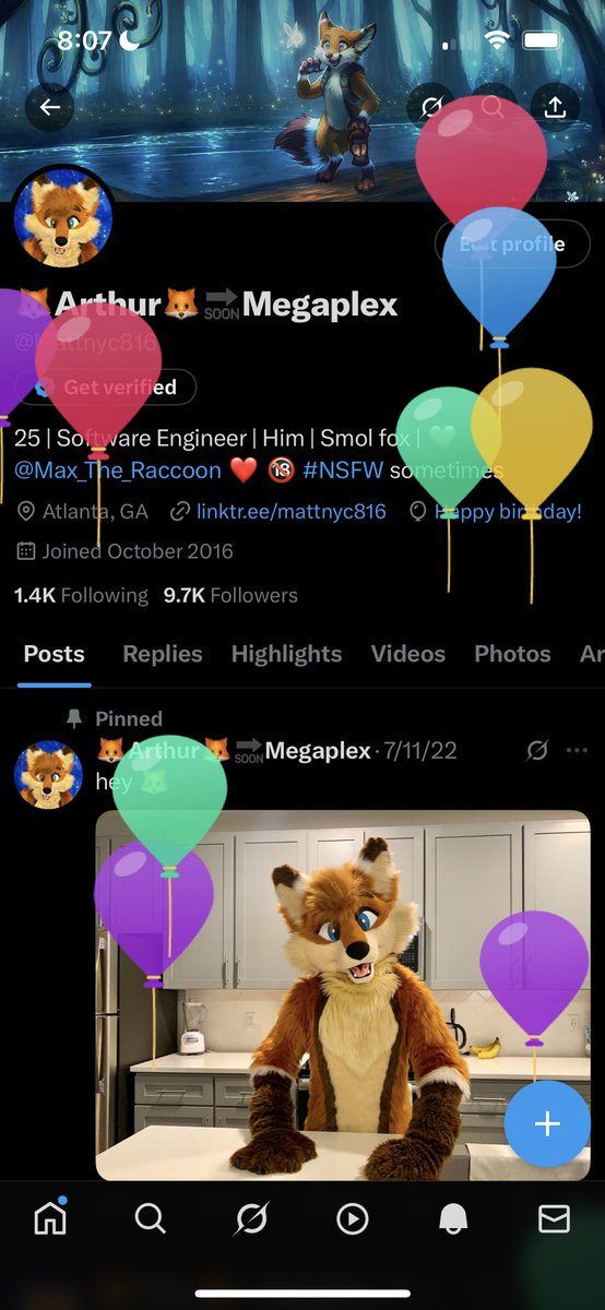 🦊Arthur🦊 tweet media