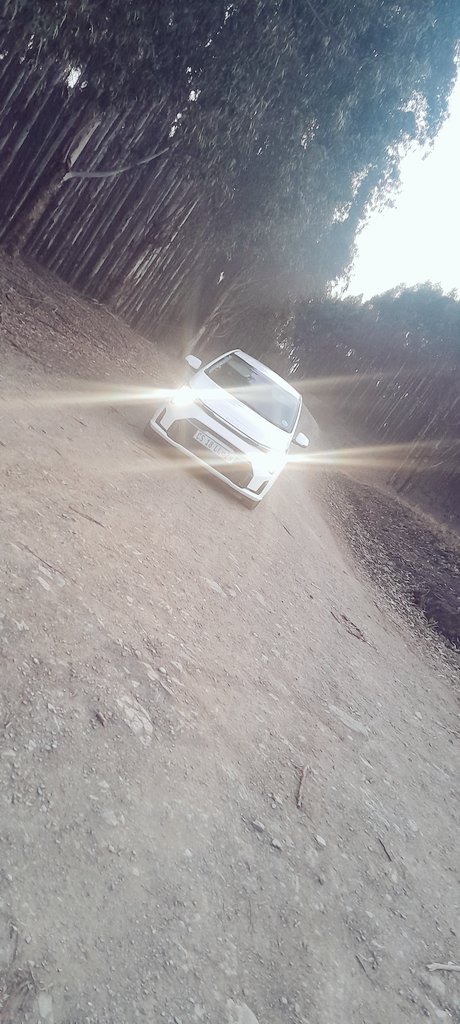 Kinatitain's tweet photo. Let's take a ride... #socialaffair_ingoma #kiapicanto @Kia_Worldwide @KiaSouthAfrica https://t.co/XEcSo2bBgr
